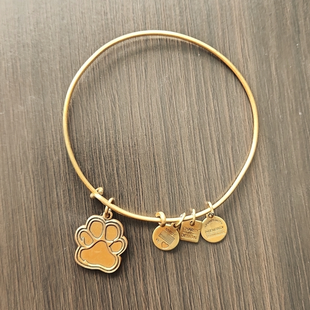 Alex and Ani Paw Print Charm Bracelet - Picture 1 of 4